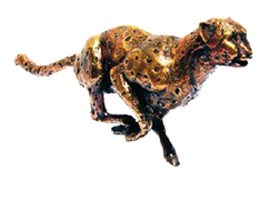 gepard-biznesu-png